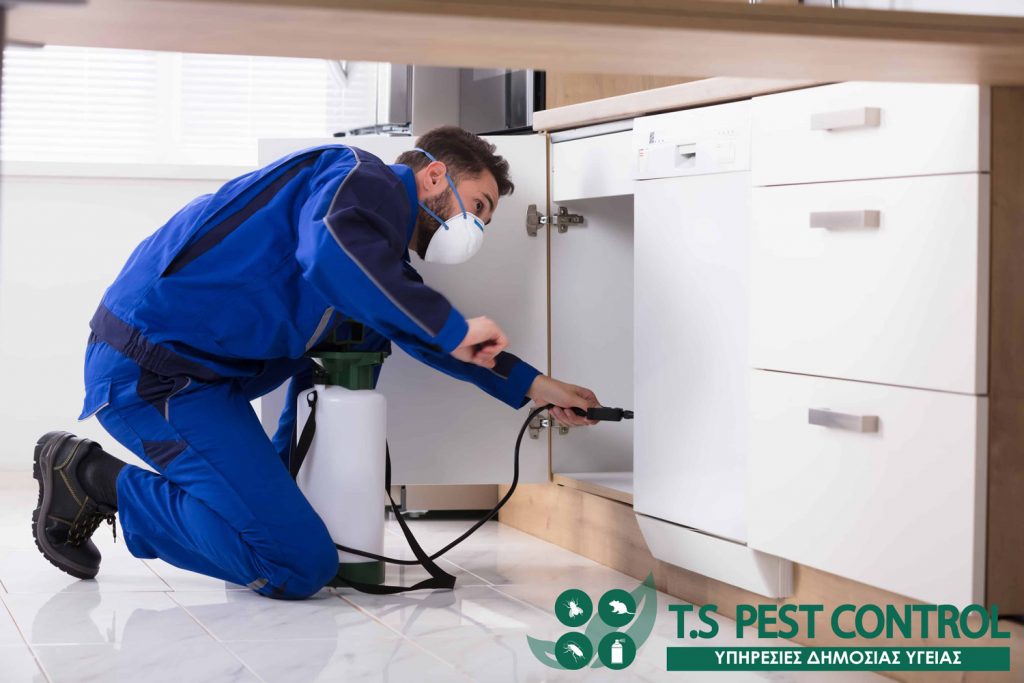 ts pest control whatsoncyprus cyprus