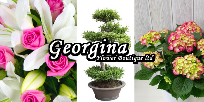 ανθοπωλειο georgina flower boutique - whats on cyprus