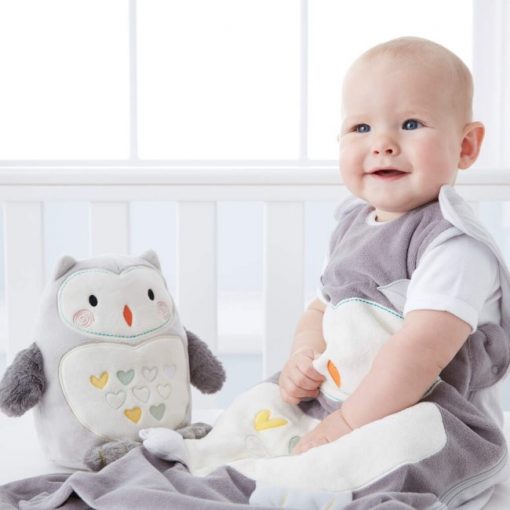 Ollie the Owl – Λούτρινο Παιχνίδι – Βοήθημα Ύπνου Tommee Tippee Grofriend Βελούδινο Φωτιστικό Επαναφορτιζόμενο – Η Κουκουβάγια Ζωάκι Συντροφιάς - Tommee Tippee Grofriend Ollie The Owl Sleep Aid with Sound and Night Light, Grey - tommee tippee cyprus