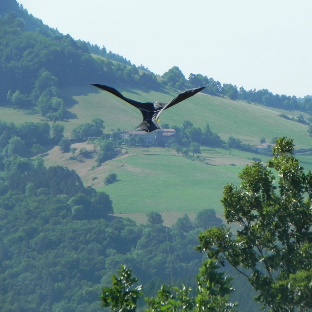 Ιπτάμενος Απωθητικός Αετός - Απωθητικά Πτηνών, Ιπτάμενος Απωθητικός Αετός &#8211; Απωθητικά Πτηνών