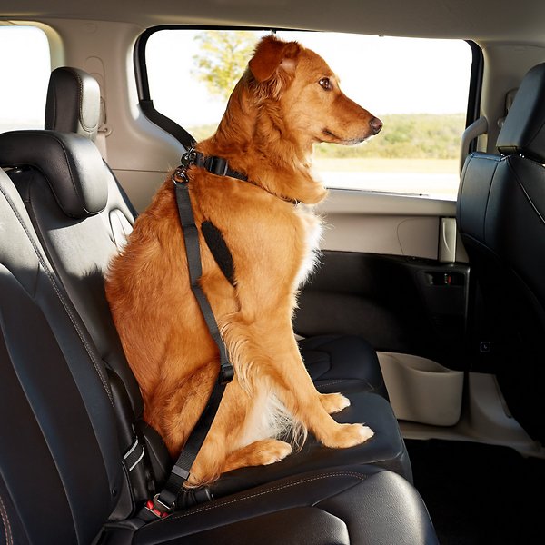 Λουρί-ζώνες ασφαλείας αυτοκινήτου για σκύλους & γάτες - petshop cyprus - whatsoncyprus - skroutz cyprus