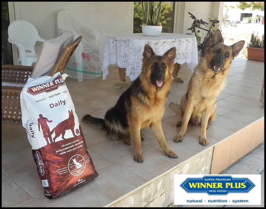Owner: Kyriakos Kyriakou Dog Names: Thunder & Maya - winner plus cyprus - skroutz cyprus - skroutz.com.cy