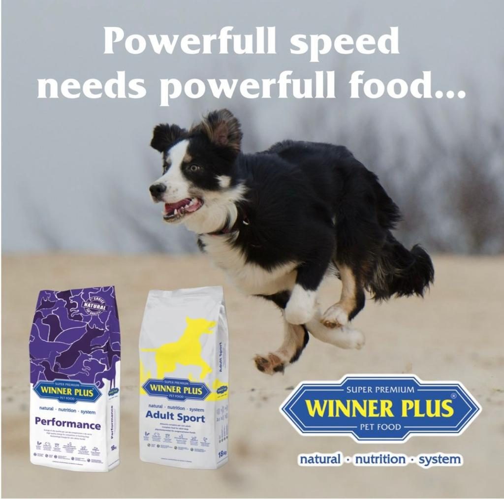 Winner Plus Cyprus Super Premium Dog Food, Winner Plus Cyprus Super Premium Dog Food