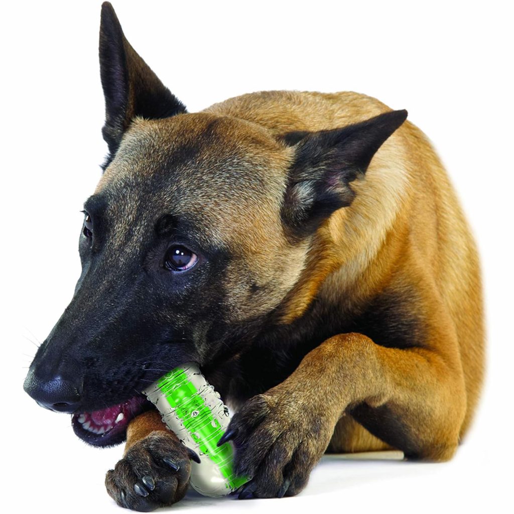 Εναλλακτικό Παιχνίδι Για Σκύλο Που Θυμίζει Ήχο Από Πλαστικό Μπουκάλι Νερού 16cm, Εναλλακτικό Παιχνίδι Για Σκύλο Που Θυμίζει Ήχο Από Πλαστικό Μπουκάλι Νερού 16cm